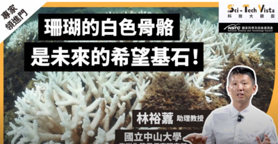 珊瑚的白色骨骼是未來的希望基石！